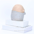 Creative and Funny Bathroom Sculptures